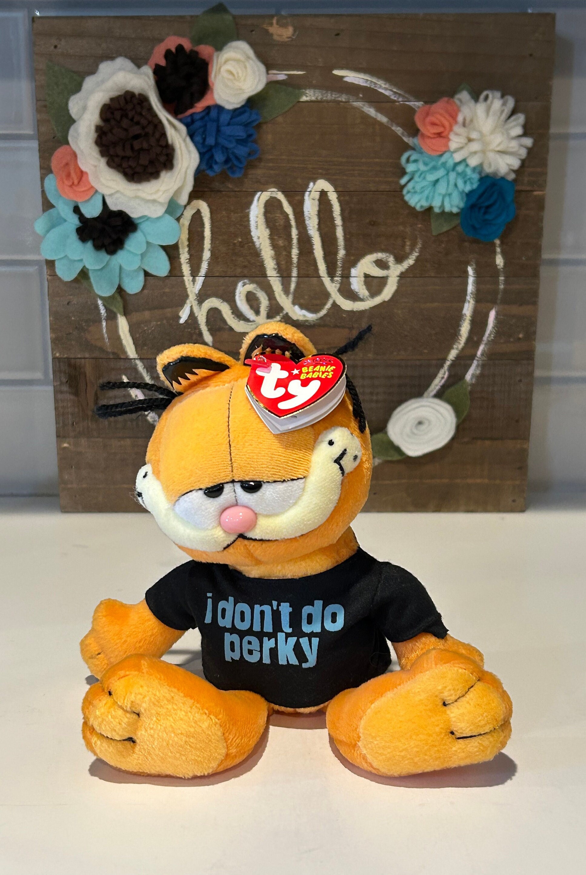 TY Beanie Baby Garfield Plush: 