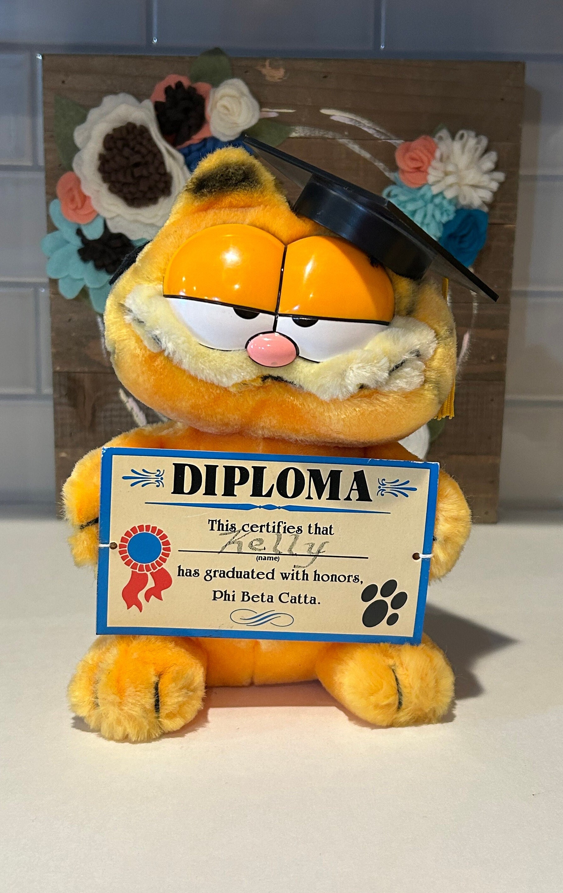 Peluche de remise des diplômes Garfield vintage Peluche Garfield