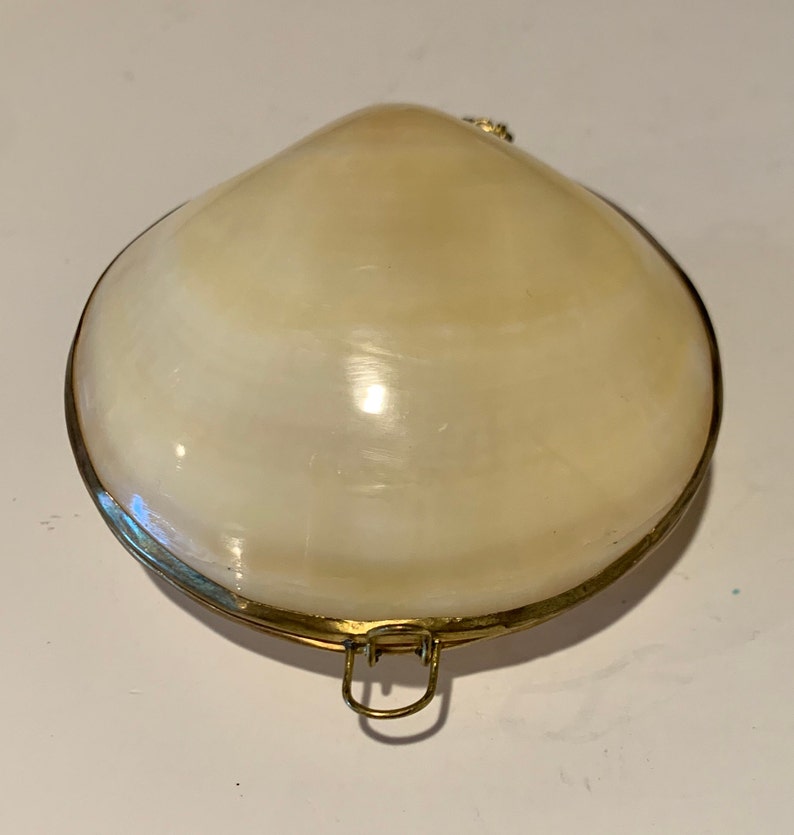 Sea Shell Brass Hinged Jewelry Box Elegant Sea Shell Trinket - Etsy
