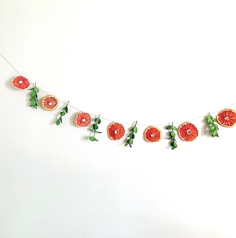 Citrus Garland Etsy