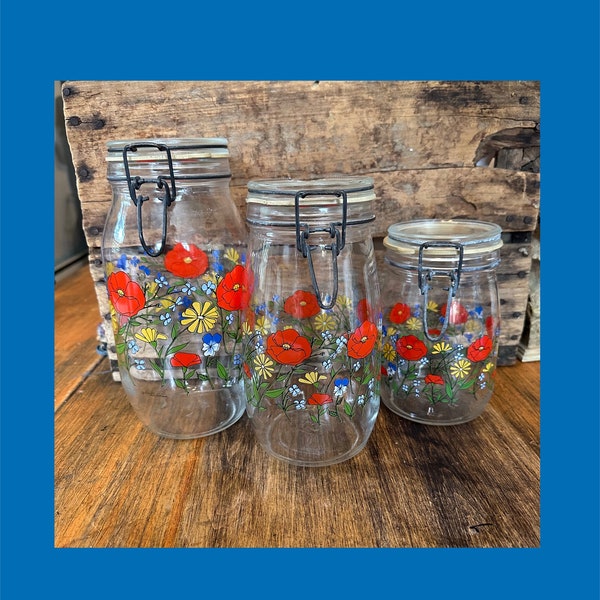 Vintage Poppy Wild Floral Glass Wire Clamp Jar Canister Arc Made France Set of 3