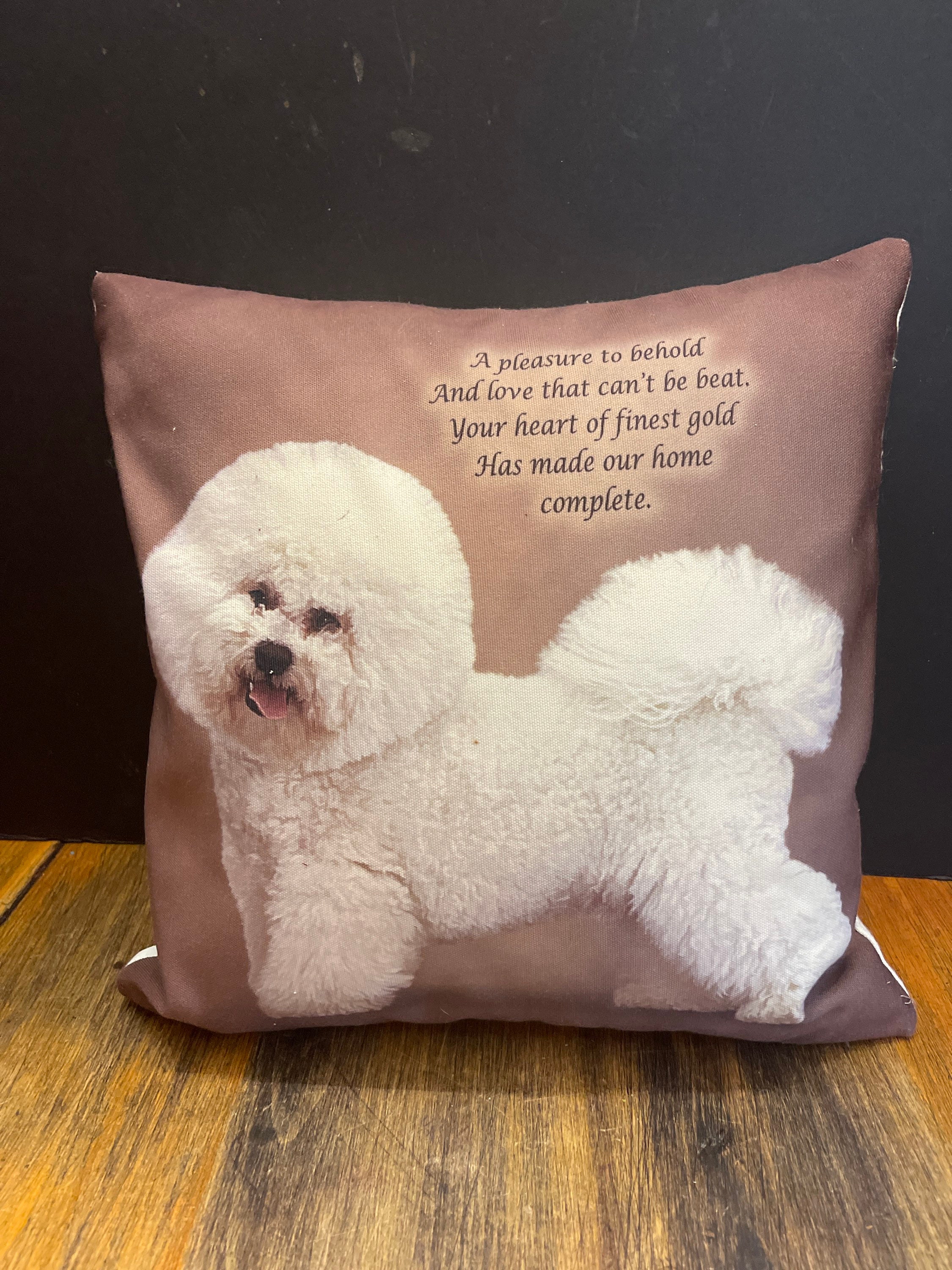 bichon cushion