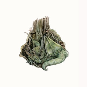 green dragon print, whimsical fantasy and fairytale illustration, mossy forest and woods