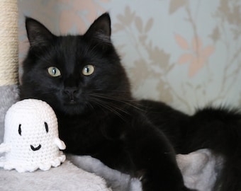 Look A Spooky Ghost! Crochet Catnip & Silvervine Toy