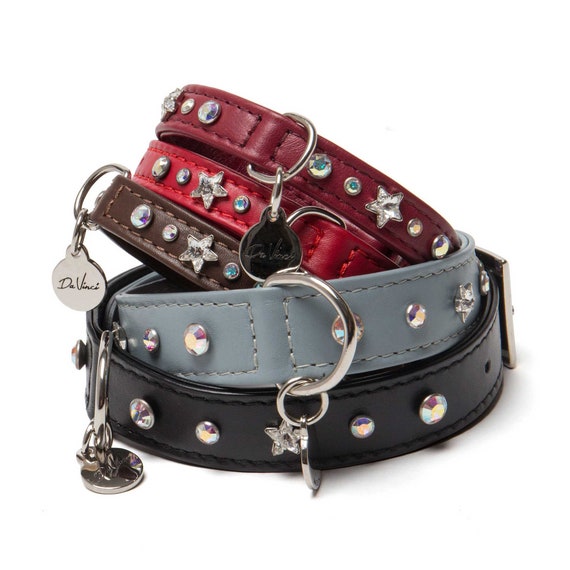 Da vinci hotsell dog collar