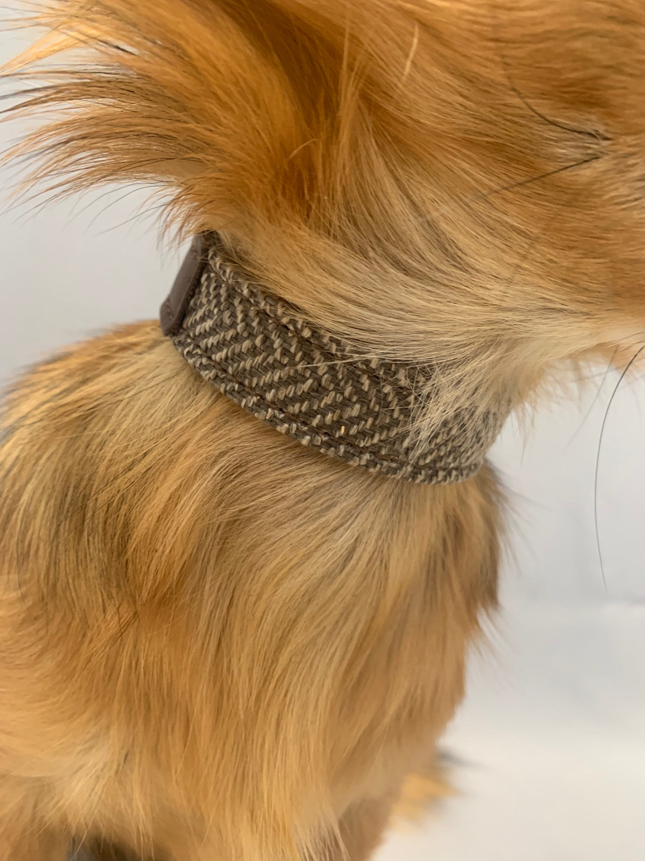 Enzo Tweed and Leather Dog Collar in Black or Brown Etsy UK