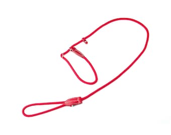 Braided Cotton Rope Dog Slip Lead with Leather Accents