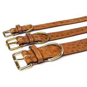 Monnalisa Soft Calf Leather Dog Collar in TAN