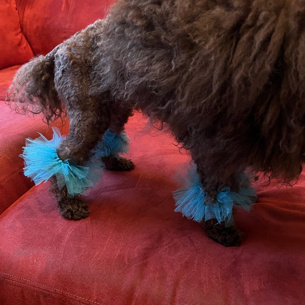 Tutu dog scrunchies