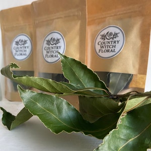 May include: Three brown paper pouches with clear windows, each featuring a circular white label with the text Country Witch Floral and a moon and star icon. In the foreground, a sprig of dark green bay leaves with wavy edges is displayed.