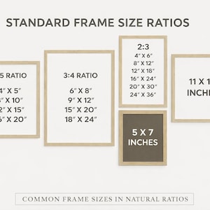 Puede incluir: Imagen que muestra las proporciones de tama&ntilde;os de marco est&aacute;ndar con dimensiones en pulgadas. Incluye proporciones 4:5, 3:4 y 2:3, junto con marcos de 11 x 14 y 5 x 7 pulgadas. El texto "COMMON FRAME SIZES IN NATURAL RATIOS" est&aacute; en la parte inferior.