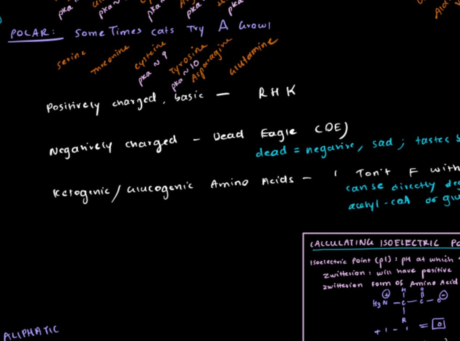 MCAT PREP Amino Acids Cheat Sheet Mnemonic Devices Etsy UK