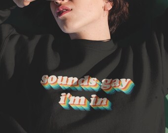 Sounds Gay Im In Sweatshirt / Retro LGBT Sweatshirt / Gay Pride Pullover / Aesthetic Clothing / Unisex Sweatshirt