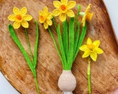 すいせんの図の根付け スイセンの編み図（PDF） – リアルなスイセンの茎、春の花、英語の