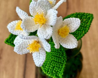 Jasmine Flower Crochet Pattern – Amigurumi Floral (english PDF