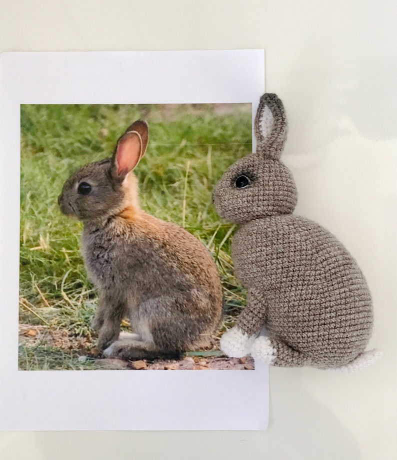 Digital Crochet Pattern Two Rabbits. Amigurumi Toys - Etsy