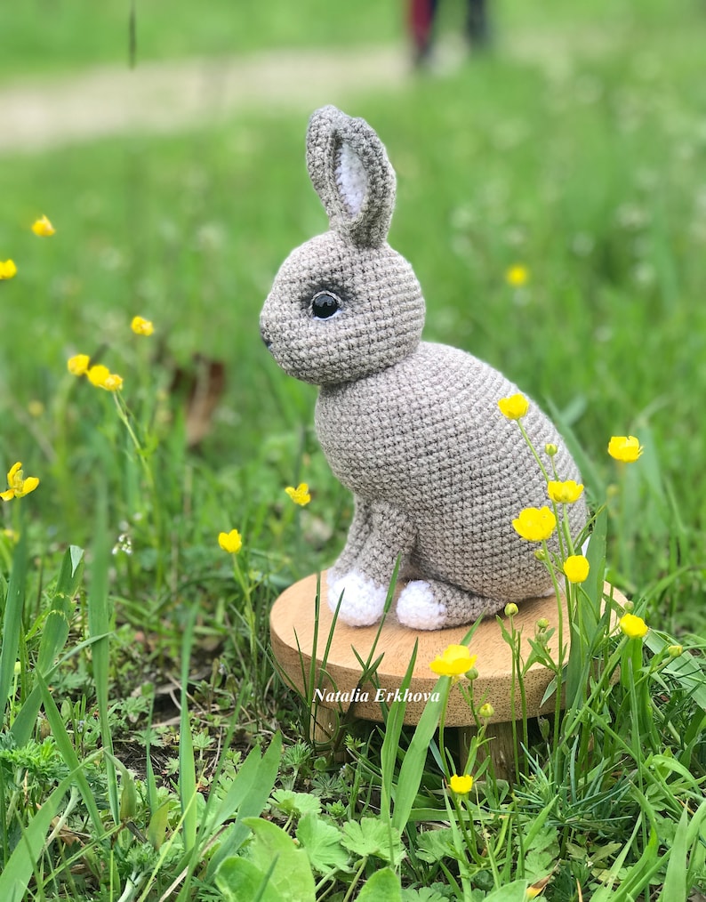 Digital Crochet Pattern Two Rabbits. Amigurumi Toys - Etsy