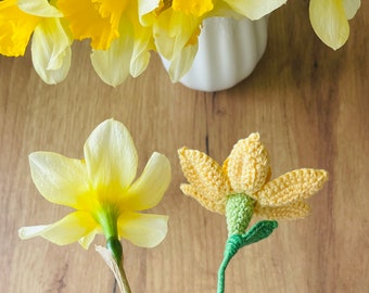 スイセンの編み図（PDF） – リアルなスイセンの茎、春の花、英語の
