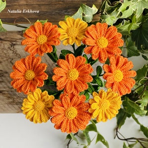 Calendula Digital Crochet Pattern PDf (English language only)