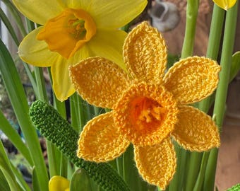 スイセンの編み図（PDF） – リアルなスイセンの茎、春の花、英語の