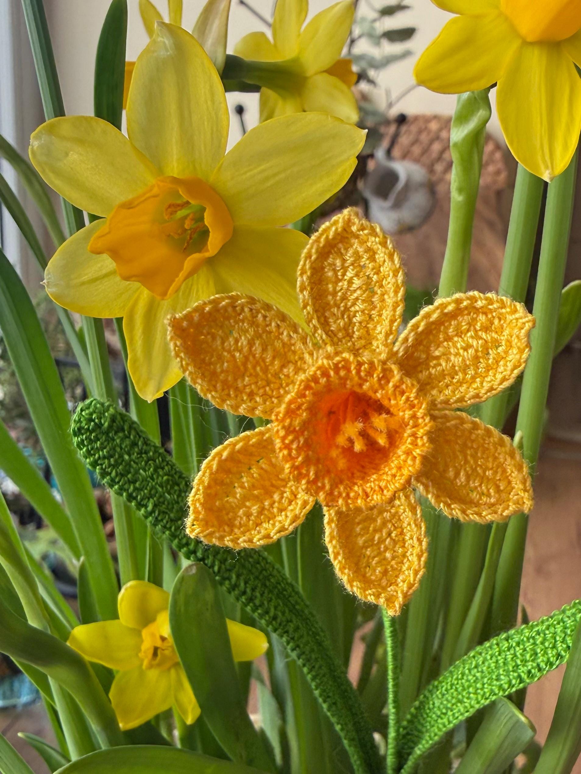 スイセンの編み図（PDF） – リアルなスイセンの茎、春の花、英語の