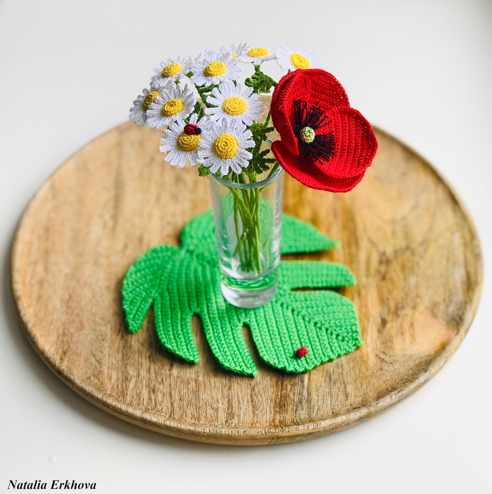 Digital Crochet Pattern Monstera Leaf Coaster Etsy