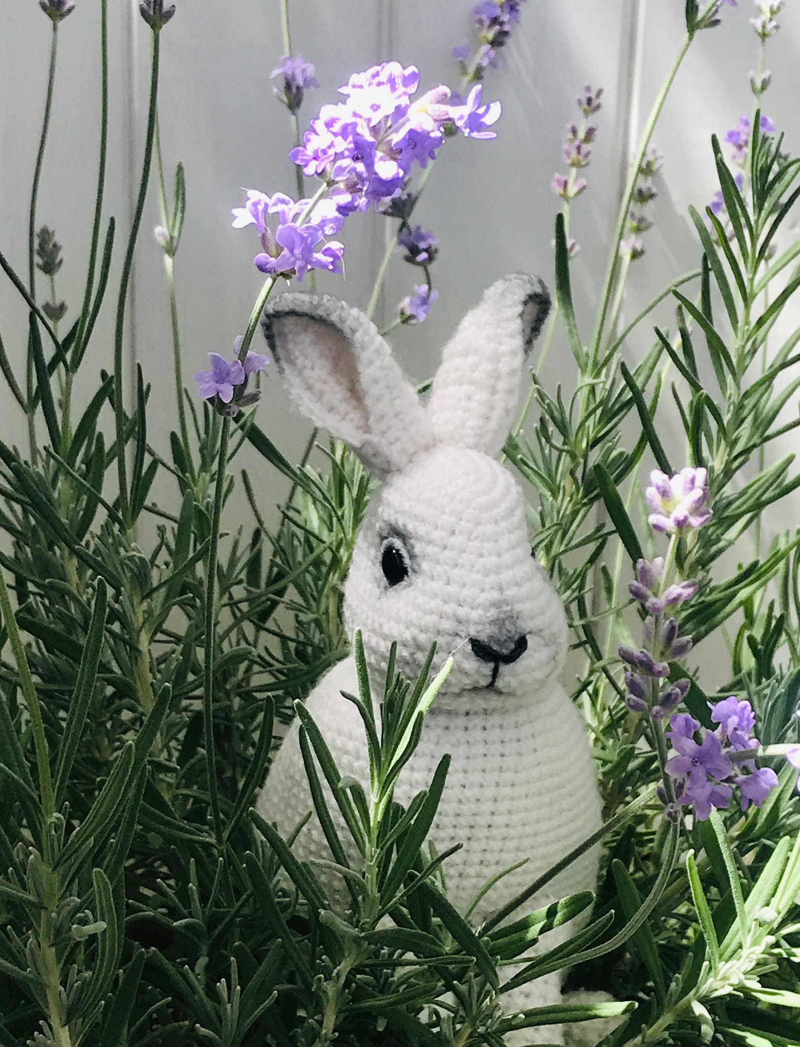 Digital Crochet Pattern Two Rabbits. Amigurumi Toys - Etsy