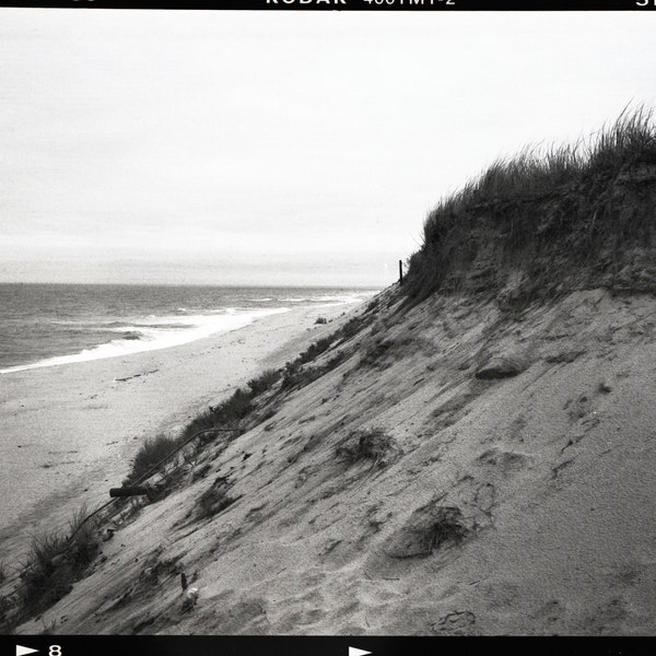 Cape Cod National Seashore Beach left digital download 18mbBeach, East Coast, Medium Format Film, Black and White Photography, Massachusetts