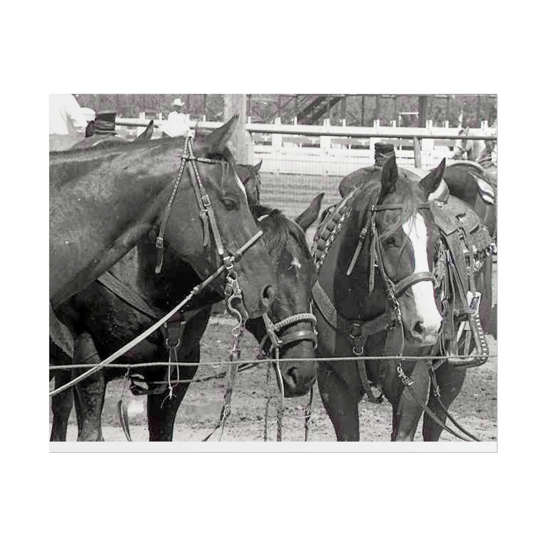 Team Roping Prom Poster Team Roping Horses Rolled Poster | Rodeo Black and White - Etsy
