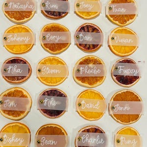 Citrus Place Cards – Real Fruit Name Cards for Weddings, Showers, Summer Parties –Custom Hand-Lettered Grapefruit, Orange, Blood Orange Mix