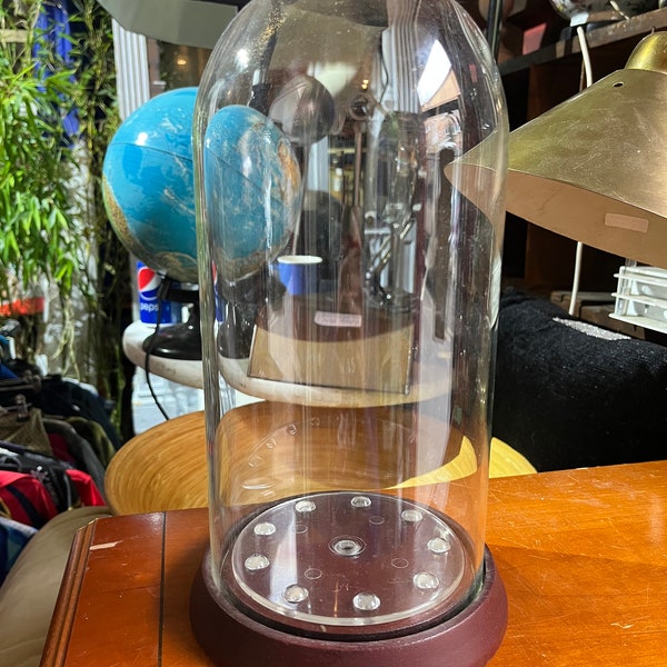 Glass Dome Display Etsy