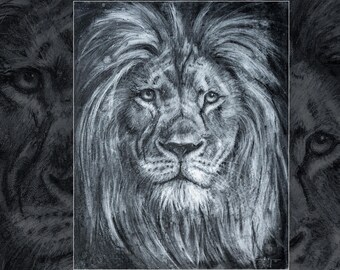 Lion Face Charcoal Drawing on Canvas Board