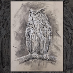 Eagle Owl Charcoal Sketch