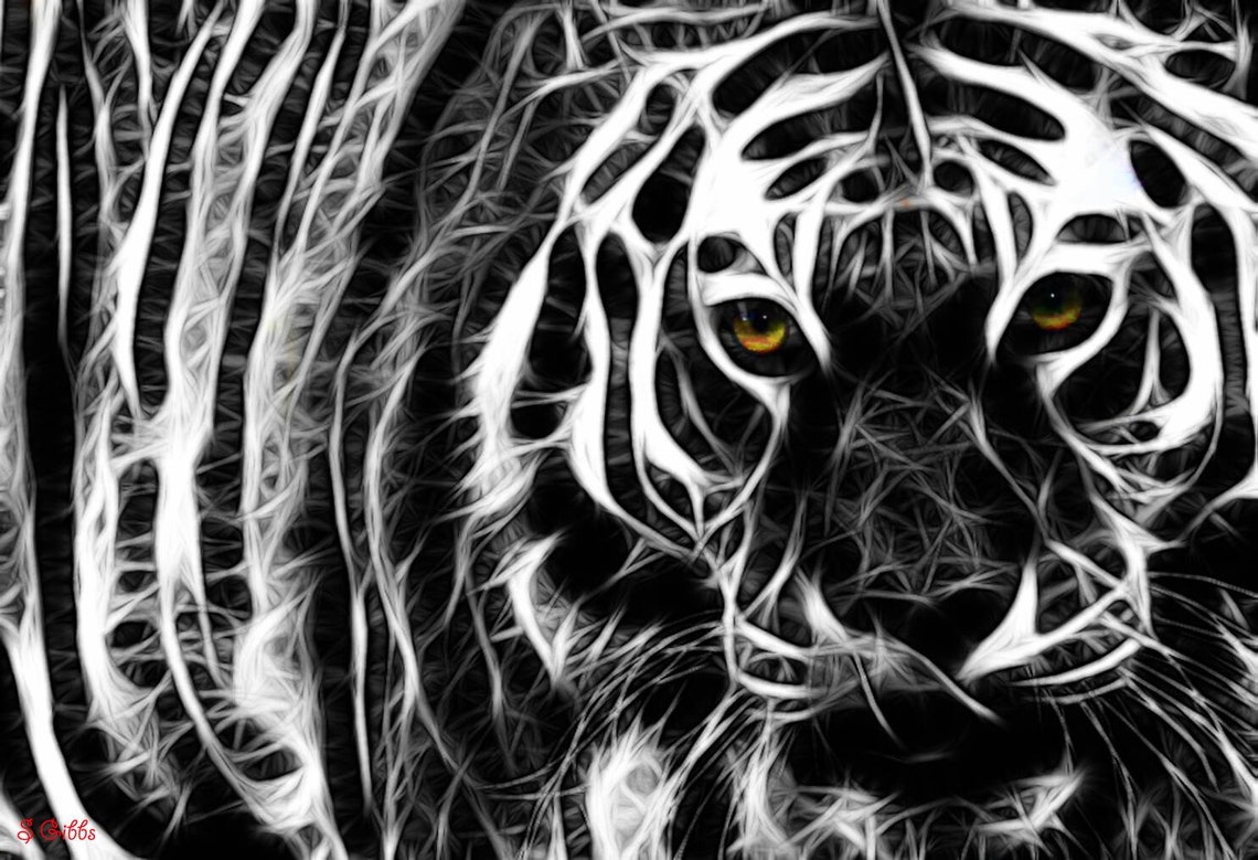 Black and white tiger print tiger digital art Fine Art | Etsy
