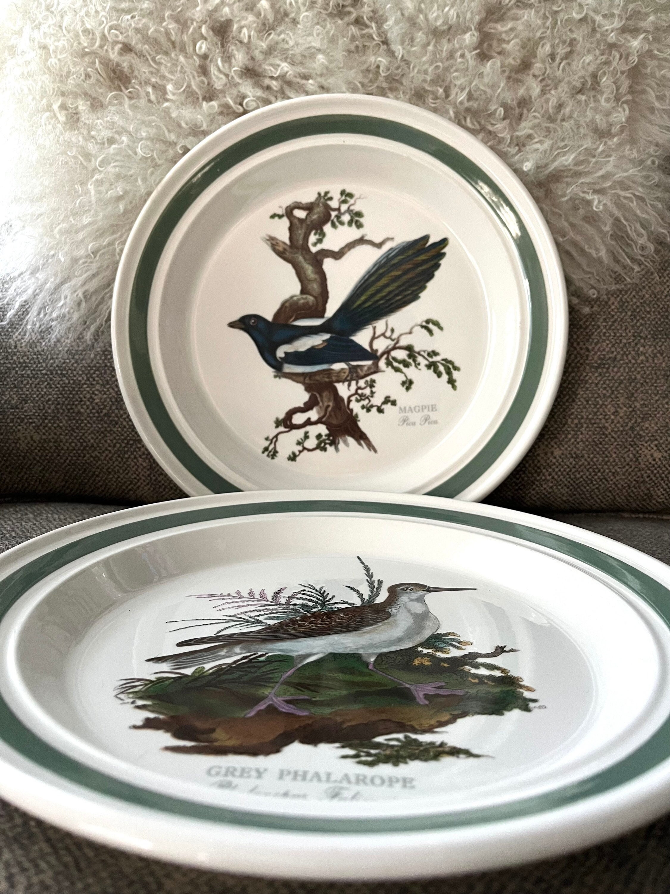Birds of Britain Dinner Plates (2)