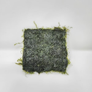 May include: A square-shaped panel covered in dark green preserved moss, featuring a visible thin wire grid structure embedded across the surface. The moss has a textured, organic appearance with lighter green highlights along the edges.