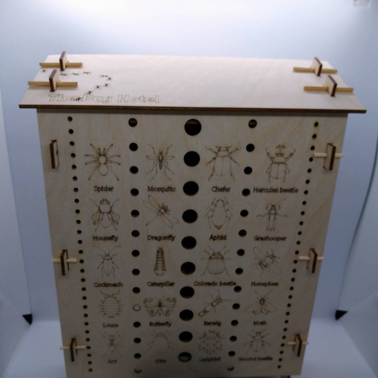 Bug box. Insect habitat. Garden fun. Educational craft. To Etsy