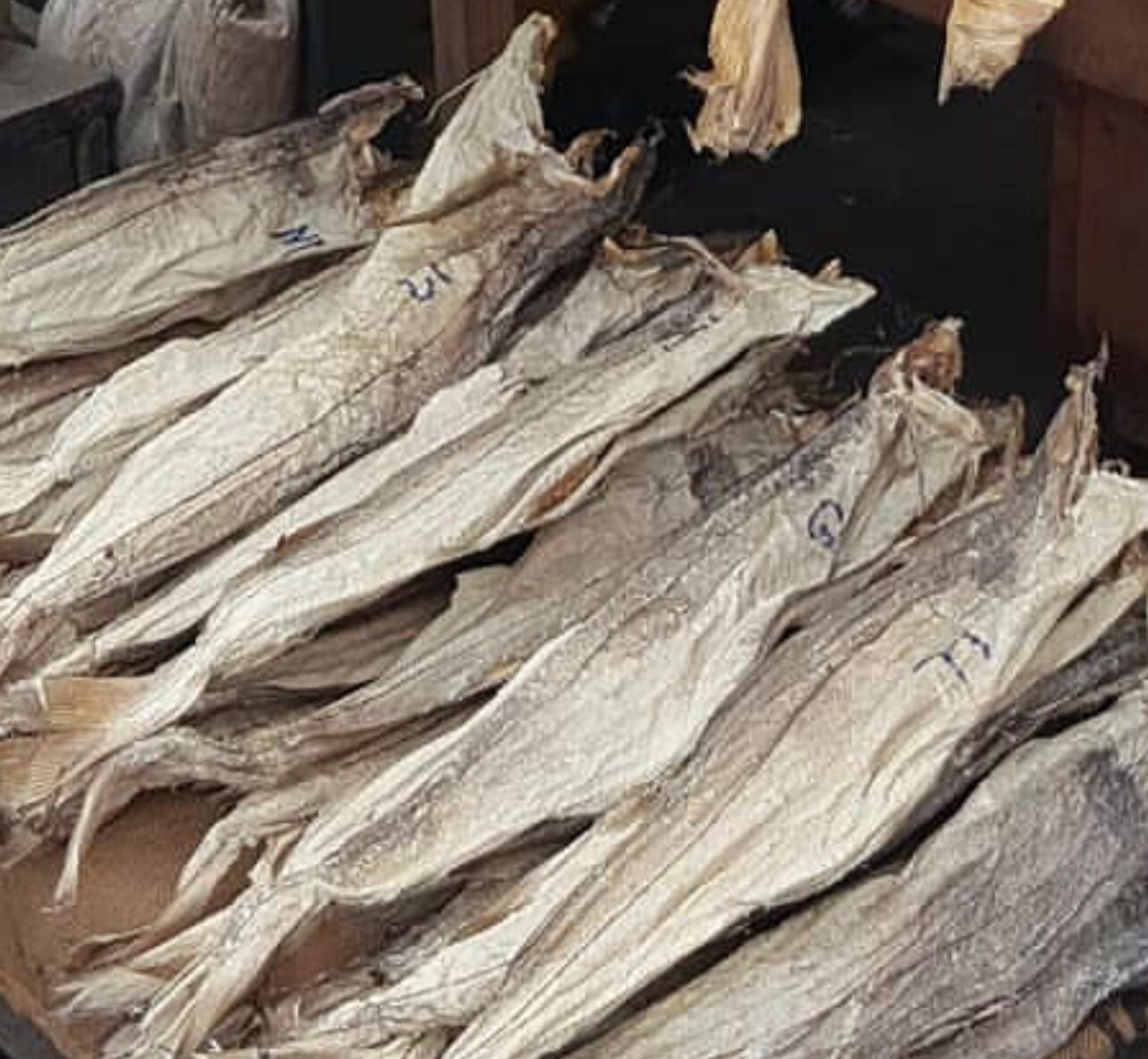 Buy Stockfish Online In India -  India