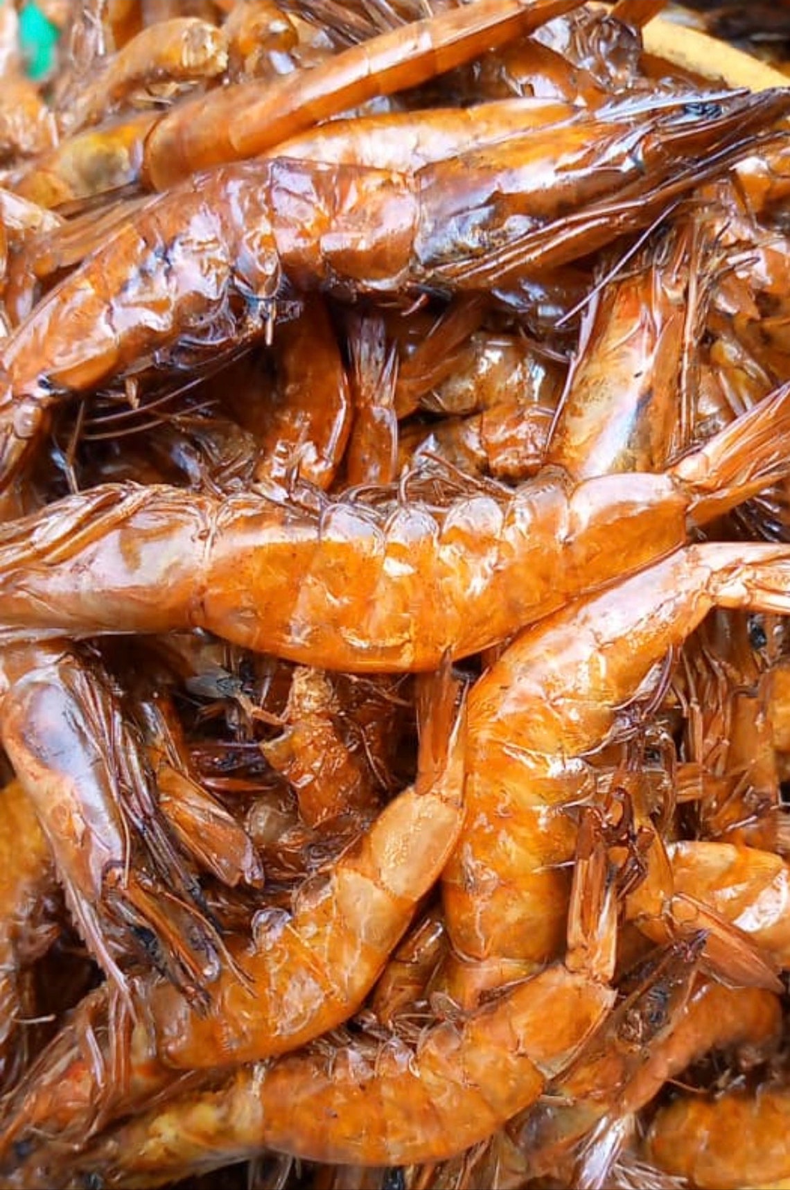 Dry Large Shrimps 1Lb Etsy