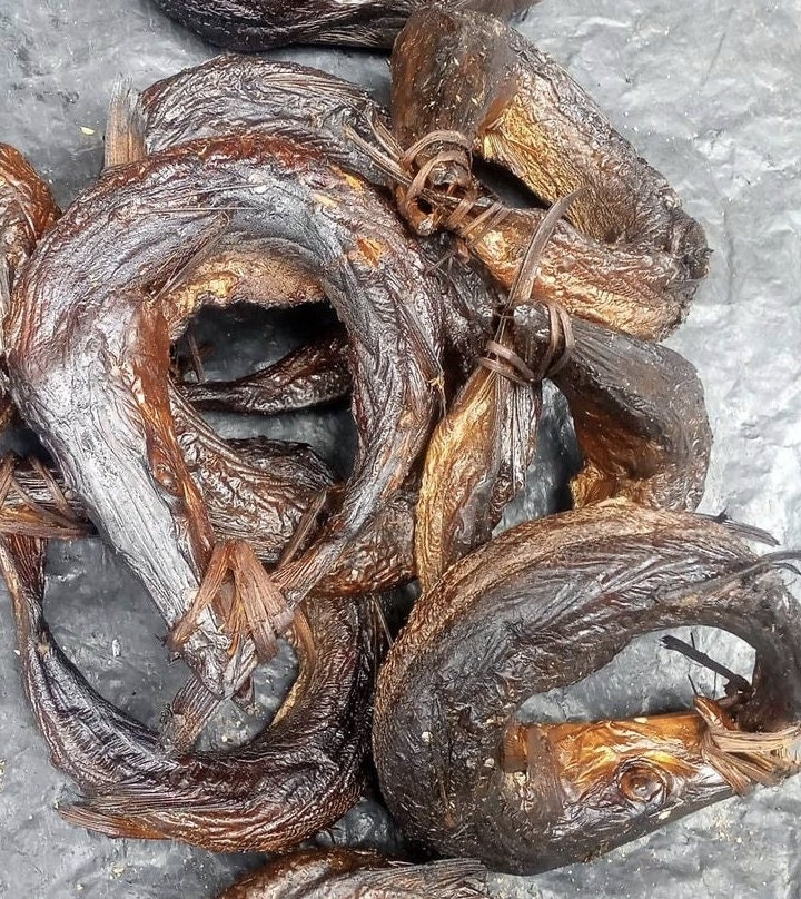 Buy Dried Bonga Fish Agbodo Fish 14pieces big Wild Caught Online