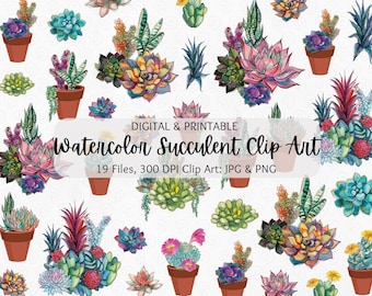 Clipart succulente aquarelle | Ensemble de cliparts cactus | Clipart plante | Art succulentes | Clipart fleurs aquarelle | Art botanique | PNG