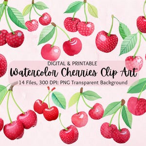 Aquarell Kirschen Clipart | Kirschen Clip Art | Kirschen PNG | Kommerzielle Nutzung | Aquarell Clipart | Kirschbaum Grafiken | Obst Clipart