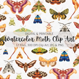 Aquarell Motte Clipart | Schmetterling Clipart-Set | Luna Motte Clipart | Atlas Motte Clipart | Cecropia Motte Clipart | PNG