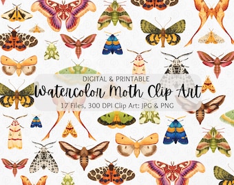 Clipart akwarelowy ćmy | Zestaw clipartów motyli | Clipart ćmy Luna | Clipart ćmy Atlas | Clipart ćmy Cecropia | Clipart ćmy PNG