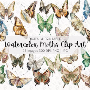 Aquarell Motte Clipart | Schmetterling Clipart-Set | Luna Motte Clipart | Atlas Motte Clipart | Cecropia Motte Clipart | PNG