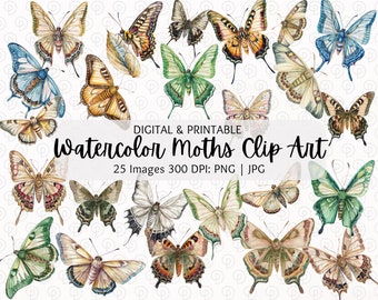 Clipart akwarelowy ćmy | Zestaw clipartów motyli | Clipart ćmy Luna | Clipart ćmy Atlas | Clipart ćmy Cecropia | Clipart ćmy PNG