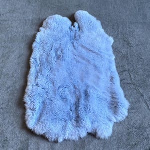 May include: A light blue, fluffy sheepskin rug. The rug has an irregular shape and a soft, textured surface. The color is a pale, muted blue, and the fur appears dense and plush. The rug is likely made of natural sheepskin.
