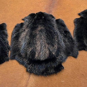 Gegerbte Beaver Pelz pelzfell
