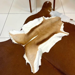 100% Deer Pelt Rug, Amazing Deer Rug, Deer skin rug , Deer Leather Hide Carpet, Deer Hides, Living room and Bedroom Rug, Natural Tanned Rug