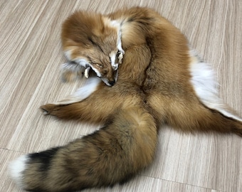 Real Luxury Fox Pelt , Red Fox Pelt ,Genuine Fox Pelt , 100% Red Fox, Super Supple and Lavish as a Fur Stole or raw Material for DIY crafts